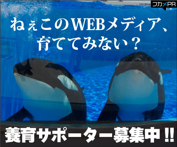 ねぇこのWEBメディア、育ててみない？